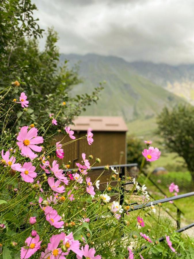 My Space Kazbegi Eksteriør bilde